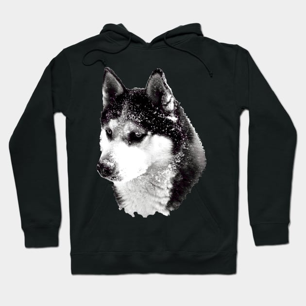 husky head - black-and-white Hoodie by MyRedBlack